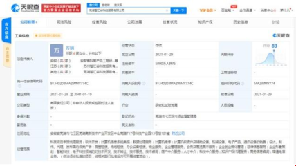 科大訊飛蕪湖設立新公司，拓展科技與房產中介服務